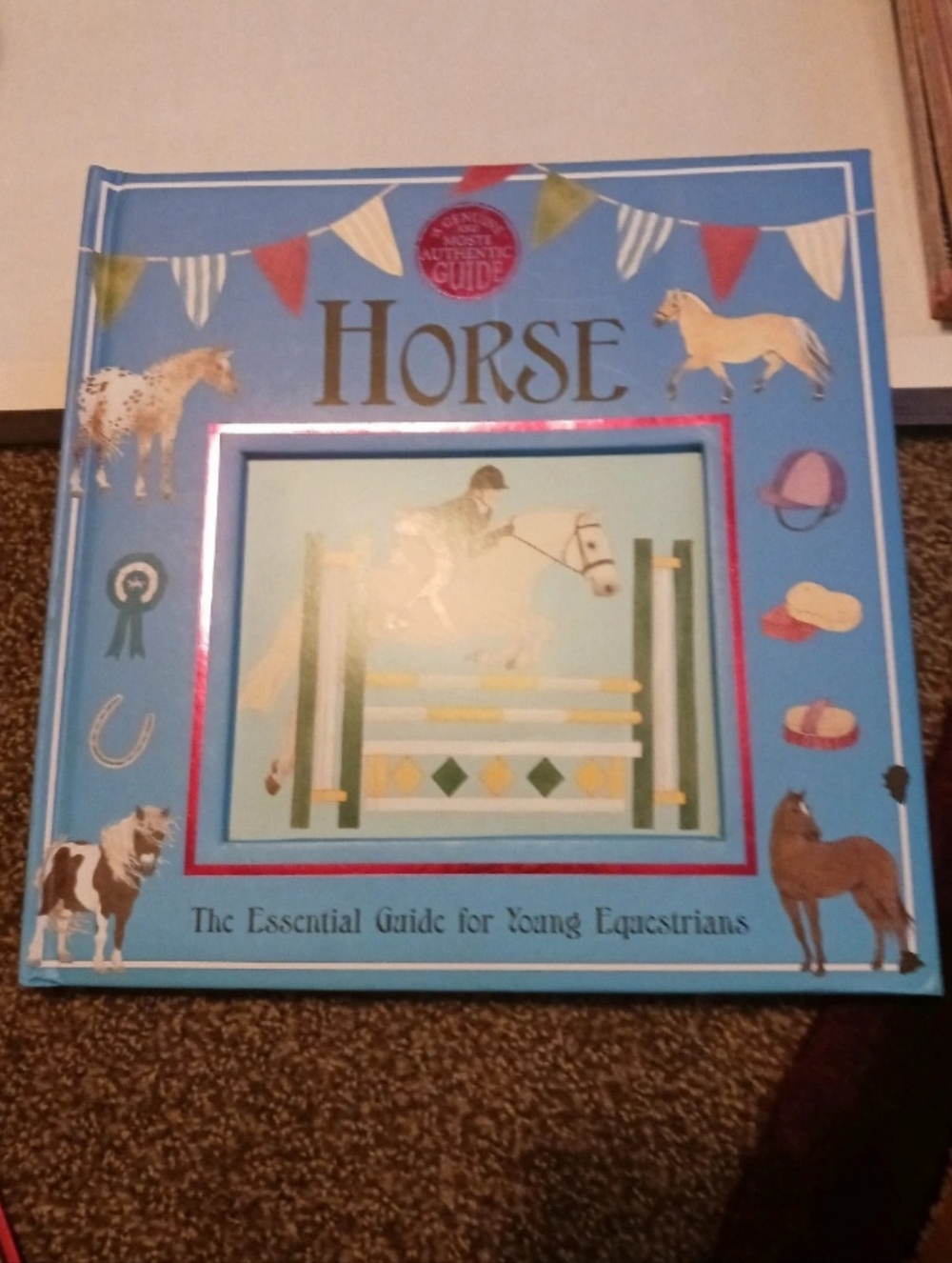 Horse Illustrated Children's Guide - Blue Equestrian Book